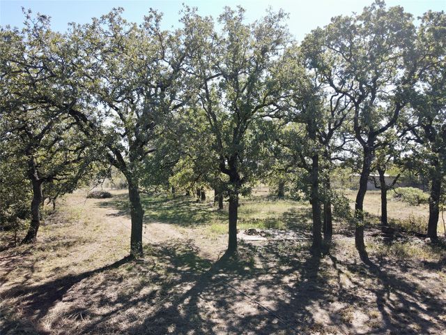 251 Tumbleweed Court, Millsap, TX 76066