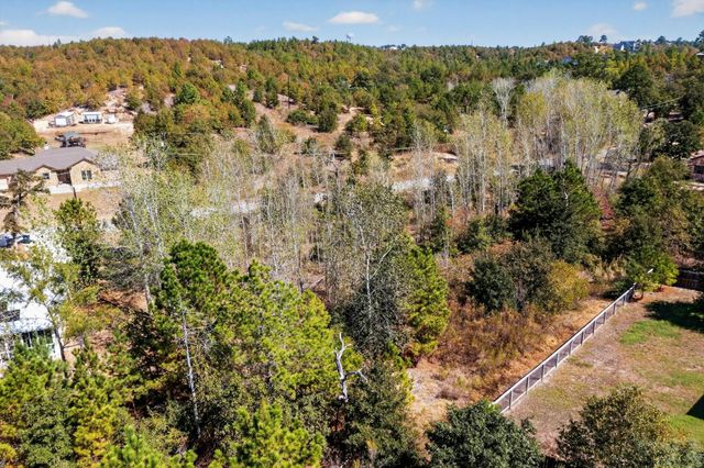 401 Kaanapali LN, Bastrop, TX 78602