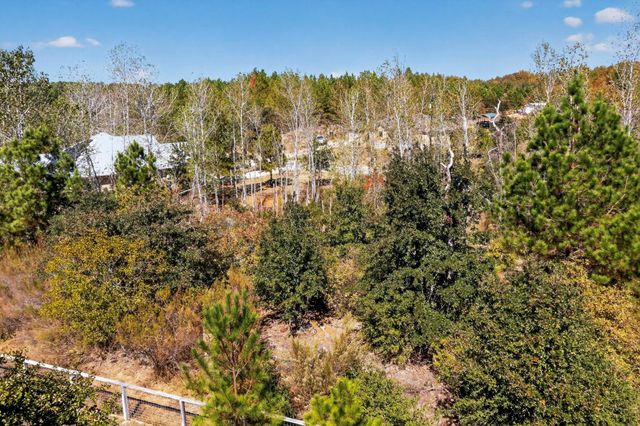 401 Kaanapali LN, Bastrop, TX 78602