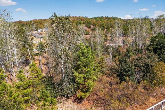 401 Kaanapali LN, Bastrop, TX 78602