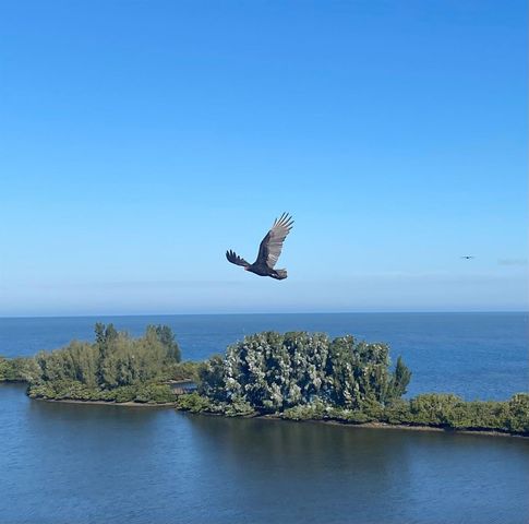 6009 SEA RANCH DRIVE 707, Hudson, FL 34667