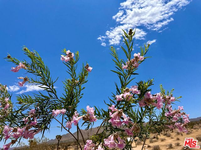 61855 Valley View Circle, Joshua Tree, CA 92252