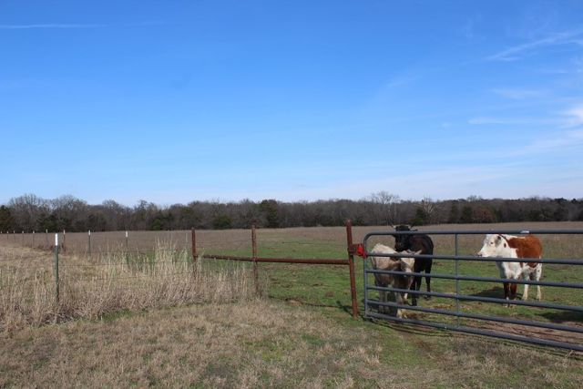2488 Rs County Road 1525, Point, TX 75472