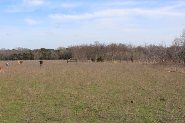 2488 Rs County Road 1525, Point, TX 75472