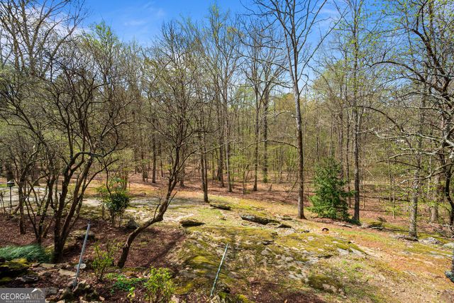 1116 Astoria Lane, Peachtree City, GA 30269