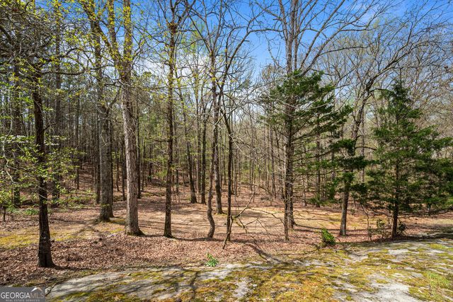 1116 Astoria Lane, Peachtree City, GA 30269