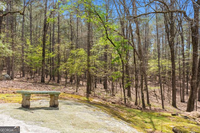 1116 Astoria Lane, Peachtree City, GA 30269