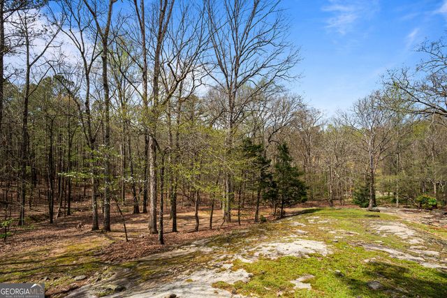 1116 Astoria Lane, Peachtree City, GA 30269