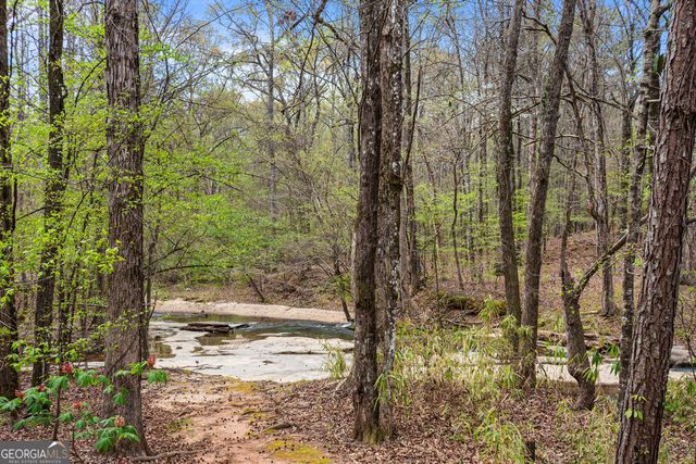 1116 Astoria Lane, Peachtree City, GA 30269