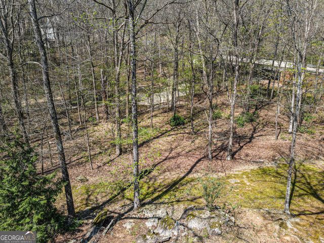 1116 Astoria Lane, Peachtree City, GA 30269
