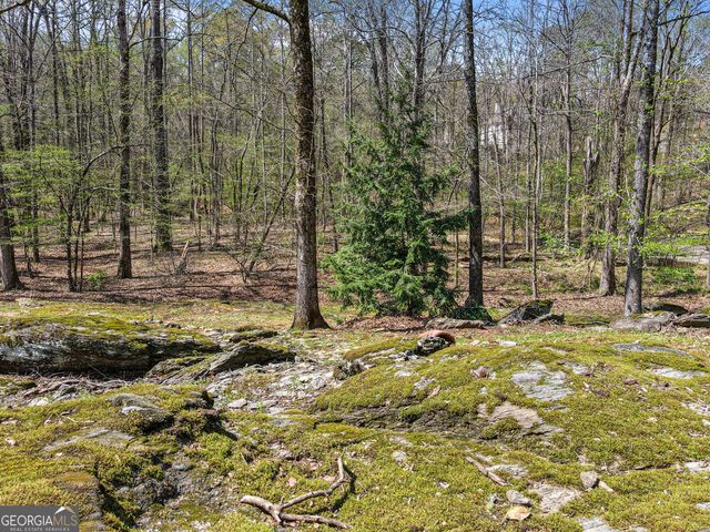1116 Astoria Lane, Peachtree City, GA 30269