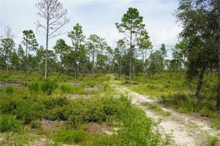 SE STATE ROAD 121 LOT A, Morriston, FL 32668