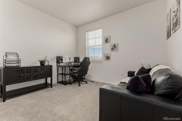 773 N Allium Street, Watkins, CO 80137