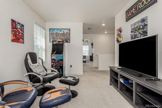 773 N Allium Street, Watkins, CO 80137