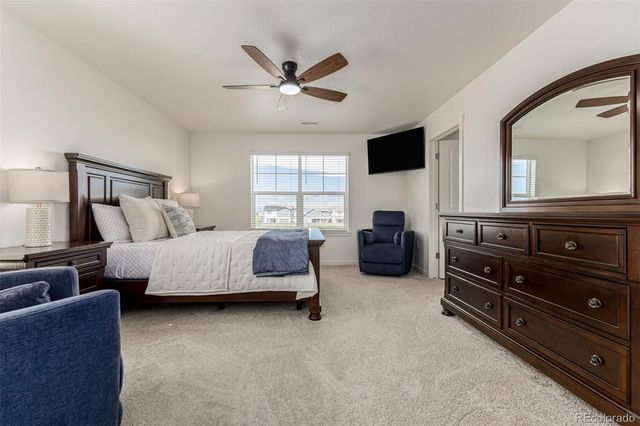 773 N Allium Street, Watkins, CO 80137