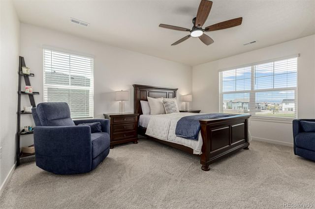 773 N Allium Street, Watkins, CO 80137