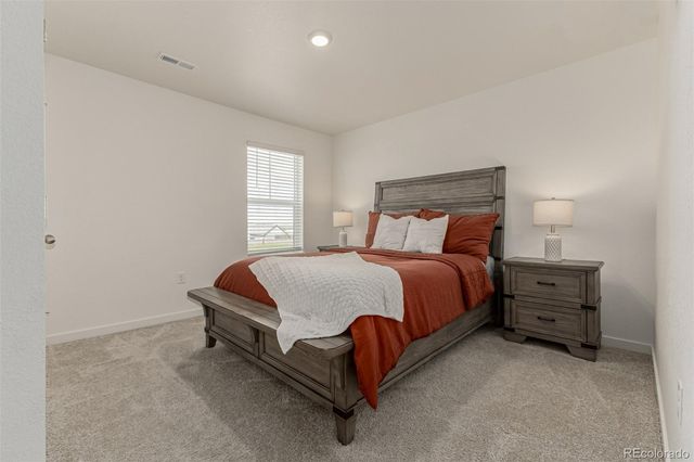 773 N Allium Street, Watkins, CO 80137