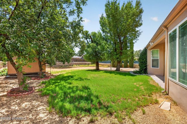 3056 Spitz Street, Las Cruces, NM 88005