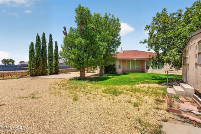 3056 Spitz Street, Las Cruces, NM 88005