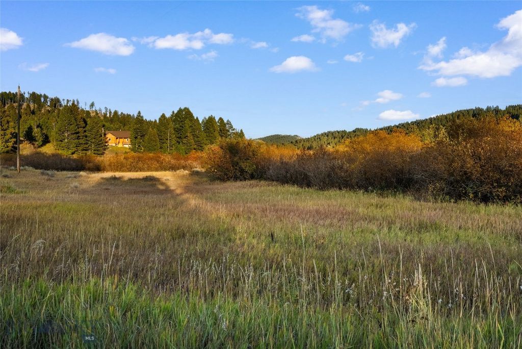 14650 Brackett Creek Road, Bozeman, MT 59715 photo 59
