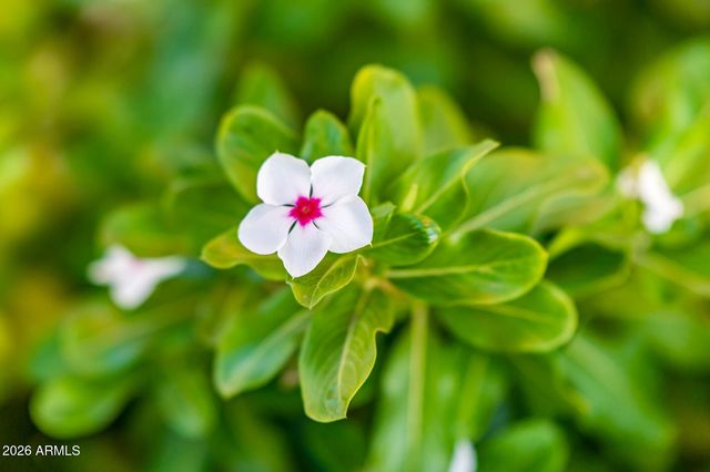 12832 W QUINTO Court, Sun City West, AZ 85375