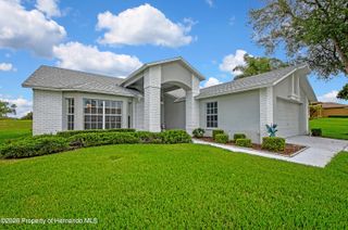 11203 Sun Tree Road, Hudson, FL 34667
