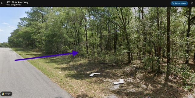 9337 N JACKSON WAY, Citrus Springs, FL 34434