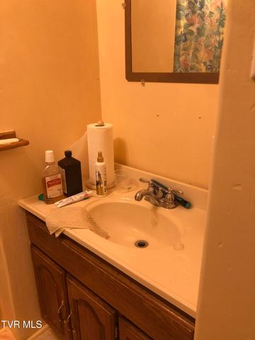 107 Love Blevins Lane, Erwin, TN 37650