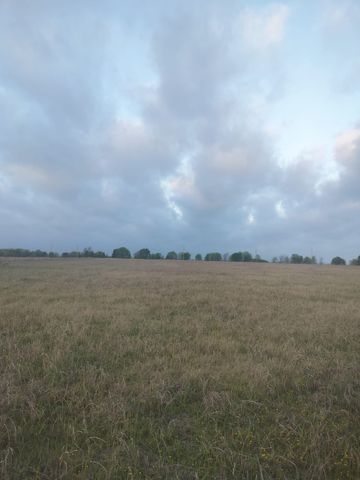 2834 St Hwy 81, Itasca, TX 76055