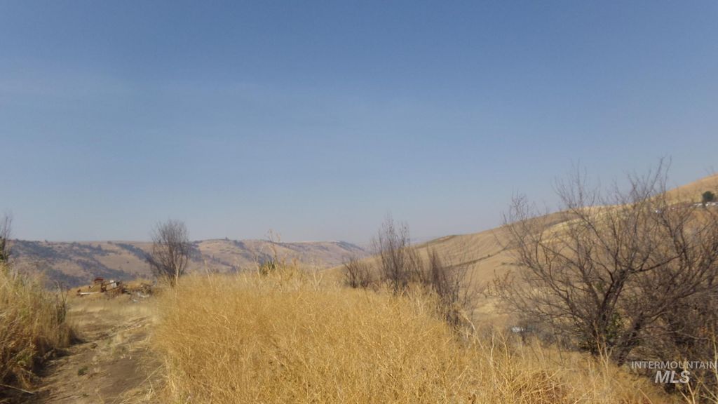 29634 Wild Plum Ln, Culdesac, ID 83524 photo 19