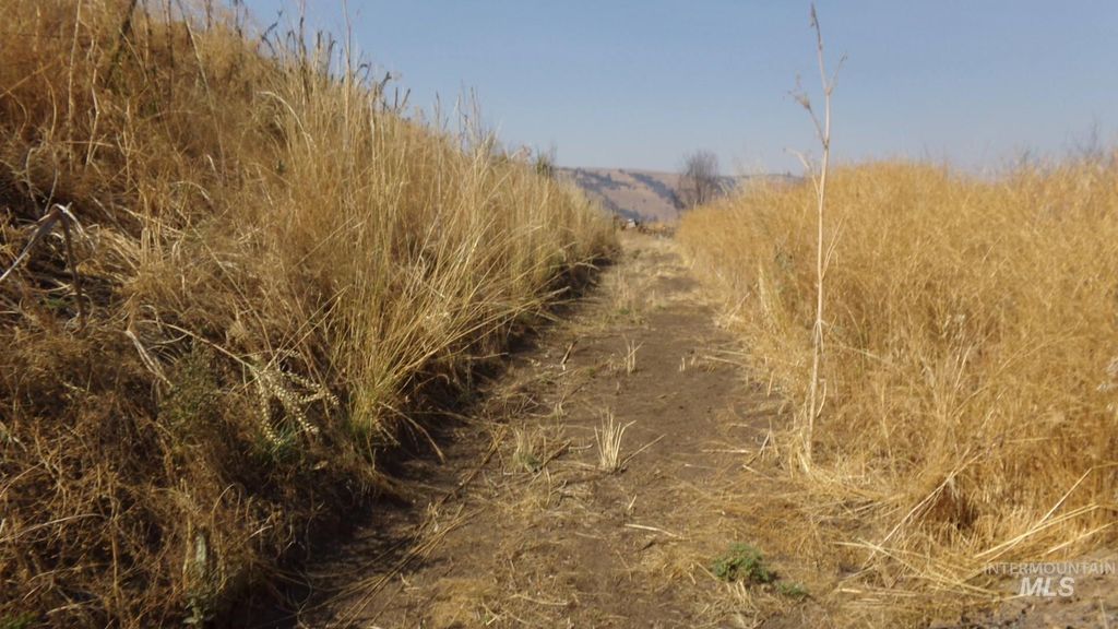 29634 Wild Plum Ln, Culdesac, ID 83524 photo 21