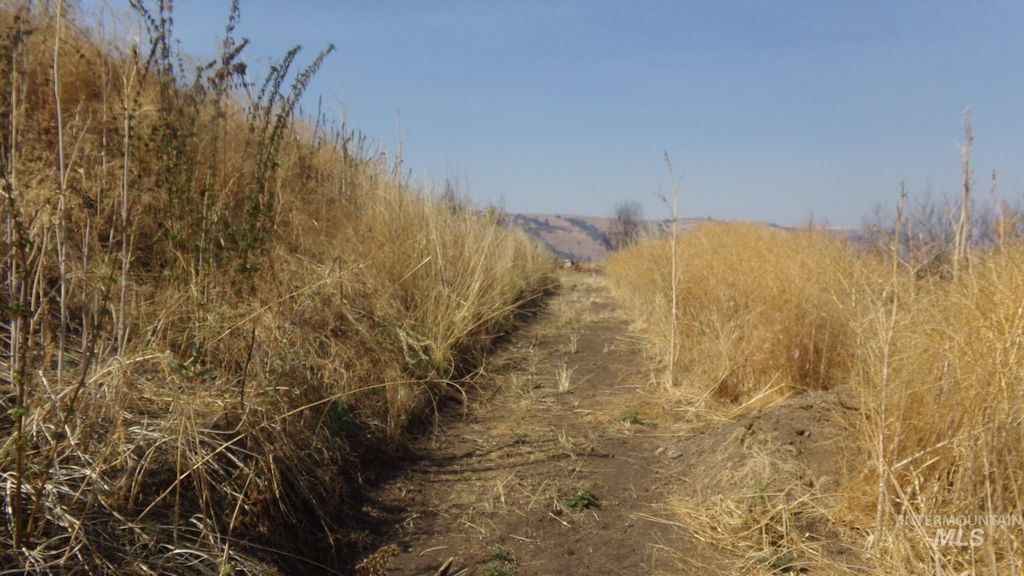 29634 Wild Plum Ln, Culdesac, ID 83524 photo 23