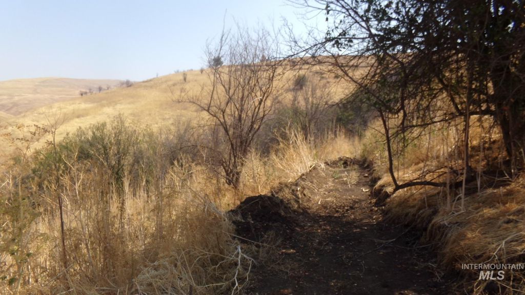 29634 Wild Plum Ln, Culdesac, ID 83524 photo 24