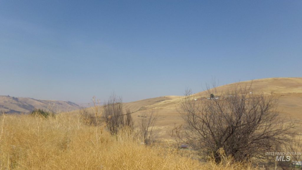 29634 Wild Plum Ln, Culdesac, ID 83524 photo 25