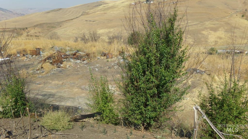 29634 Wild Plum Ln, Culdesac, ID 83524 photo 4