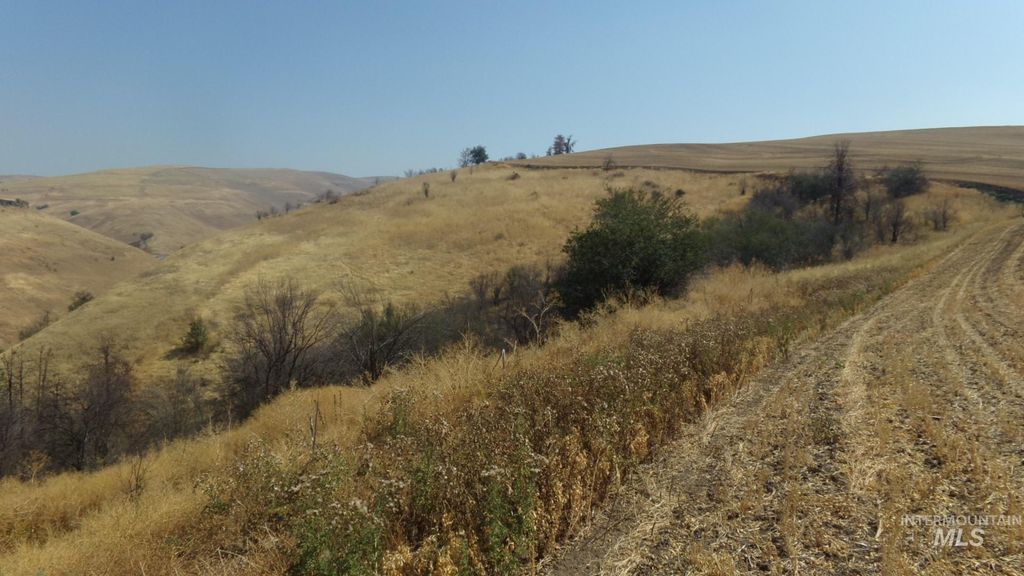 29634 Wild Plum Ln, Culdesac, ID 83524 photo 5