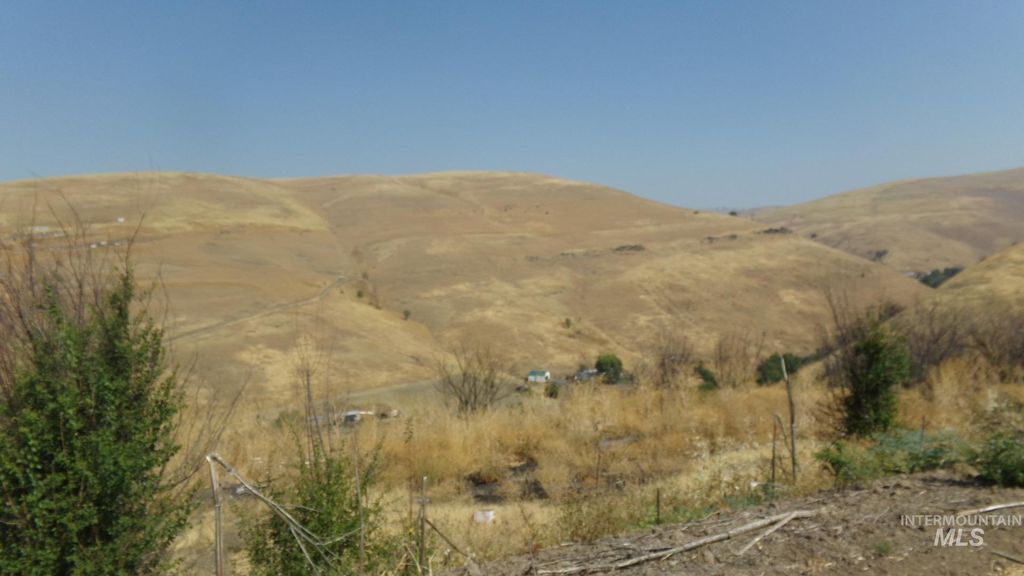 29634 Wild Plum Ln, Culdesac, ID 83524 photo 7