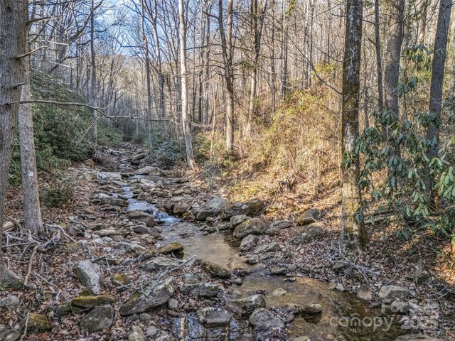 61 Deep Gap Farm Road E, Mill Spring, NC 28756