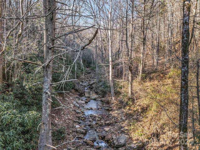 61 Deep Gap Farm Road E, Mill Spring, NC 28756