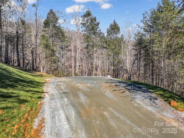61 Deep Gap Farm Road E, Mill Spring, NC 28756