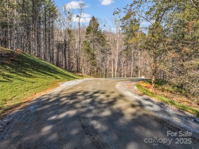 61 Deep Gap Farm Road E, Mill Spring, NC 28756