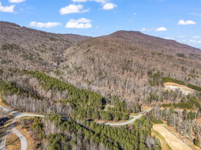 61 Deep Gap Farm Road E, Mill Spring, NC 28756