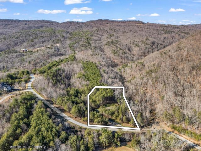 61 Deep Gap Farm Road E, Mill Spring, NC 28756