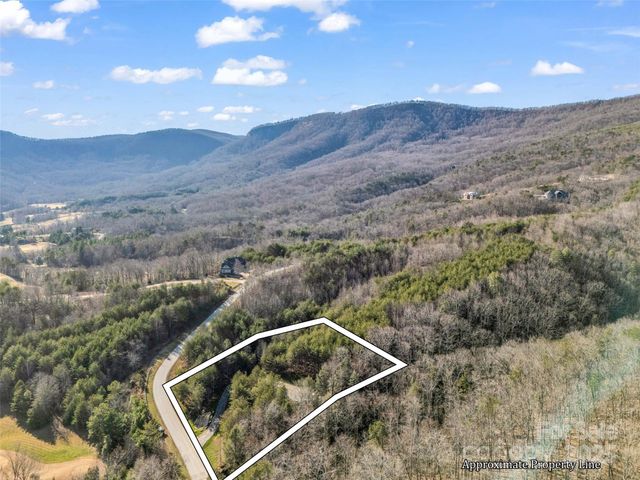 61 Deep Gap Farm Road E, Mill Spring, NC 28756