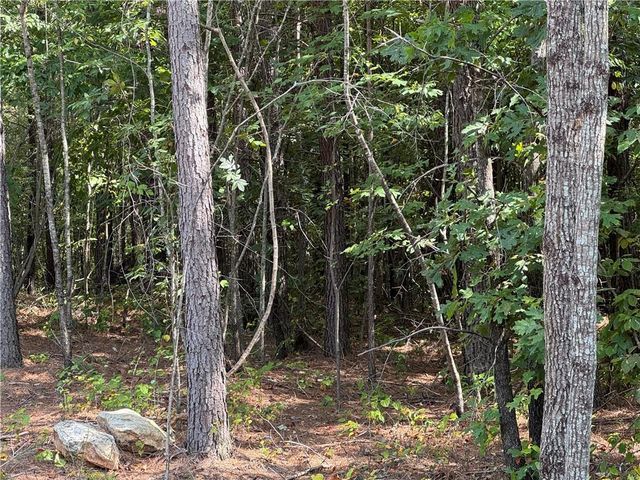 00 Lone Bear Path, Dallas, GA 30132