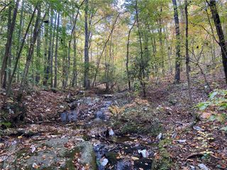 00 Lone Bear Path, Dallas, GA 30132