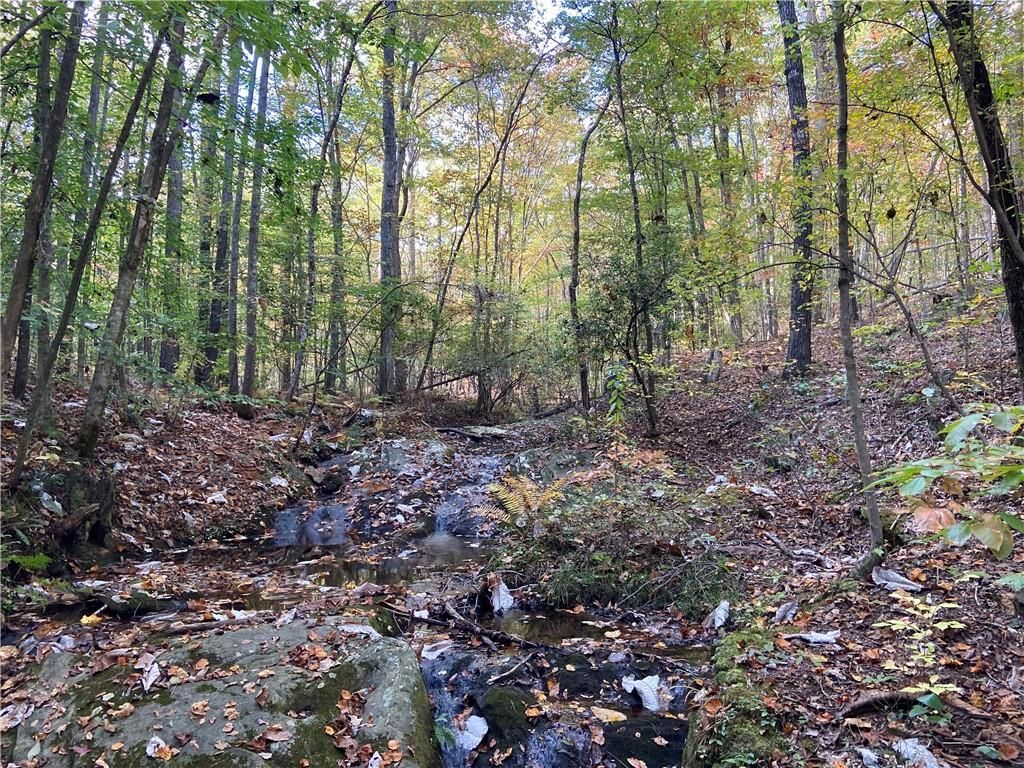 00 Lone Bear Path, Dallas, GA 30132