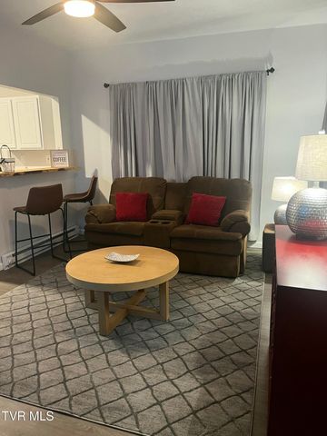 1133 Cherry Street, Kingsport, TN 37660