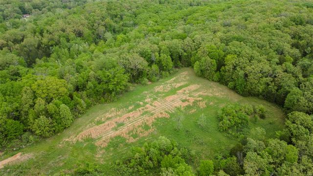 0 Blackberry Hills Rd, Bloomsdale, MO 63627