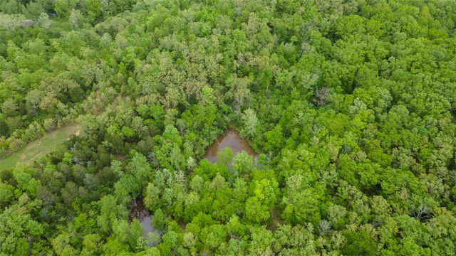 0 Blackberry Hills Rd, Bloomsdale, MO 63627